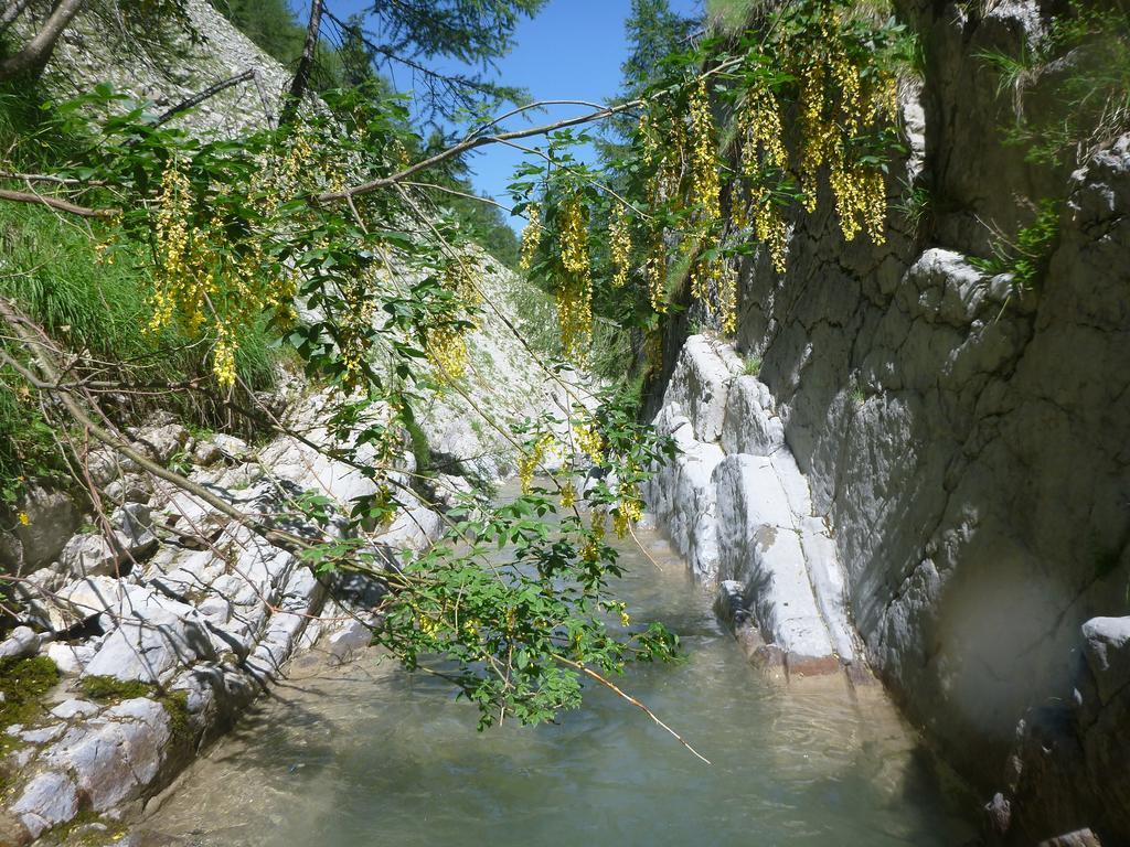Gite Belle Valette Prads-Haute-Bléone Buitenkant foto